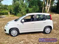 usado Fiat Panda 1.2 Lounge