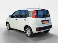 Usado Fiat Panda 70 HP (51 kW) 2022 Branco Citadino