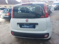 usado Fiat Panda 1.2 Lounge GPL