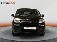 usado Fiat Panda 1.2 Lounge 70cv