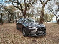 usado Lexus NX450h+ NX 450h+ Executive Plus