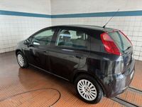 usado Fiat Punto 1.3 multijet