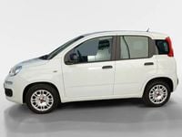 Usado Fiat Panda City Life 70 HP (51 kW) 2022 Branco Citadino