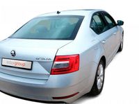 Usado Skoda Octavia 115 HP (84 kW) 2019 Cinzento