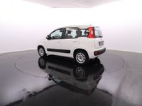 usado Fiat Panda 1.2 Lounge GPL