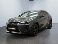 Usado Lexus UX 152 HP (111 kW) 2023 Cinzento SUV