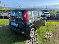 usado Fiat Panda 1.2 Lounge S&S