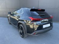 usado Lexus UX UX250h Special Edition