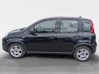 Usado Fiat Panda Red 70 HP (51 kW) 2024 Preto Sedan