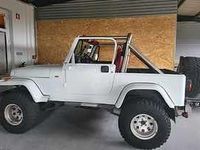 Usado Jeep Wrangler 170 HP (125 kW) 1991 Branco SUV
