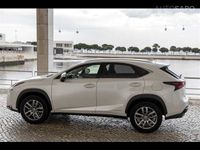 usado Lexus NX300h Executive Plus