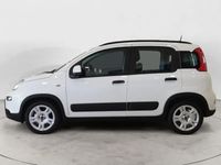 usado Fiat Panda 1.0 Hybrid City Life