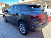 usado Citroën C4 Cactus 1.5 BLUEHDI 102 S and S BVM6 FEEL BUSINESS