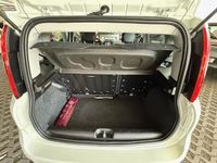 Usado Fiat Panda City Life 69 HP (50 kW) 2022 Branco Citadino