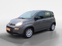 Usado Fiat Panda 70 HP (51 kW) 2024 Cinzento Citadino