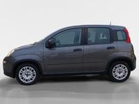 Usado Fiat Panda 70 HP (51 kW) 2024 Cinzento Citadino