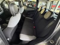Usado Fiat Panda City Life 69 HP (50 kW) 2022 Cinzento Citadino