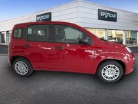 Novo Fiat Panda 70 HP (51 kW) 2025 Branco Citadino