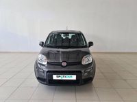 usado Fiat Panda 1.0 Hybrid 70cv Hybrid Launch Edition