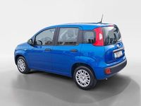 Novo Fiat Panda 70 HP (51 kW) 2025 Azul Citadino