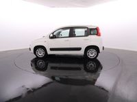 usado Fiat Panda 1.2 Lounge GPL