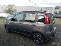 usado Fiat Panda 1.0 Hybrid City Life