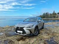 usado Lexus NX450h+ NX NX 450h+ Premium