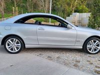 usado Mercedes CLK220 CDI Avantgarde