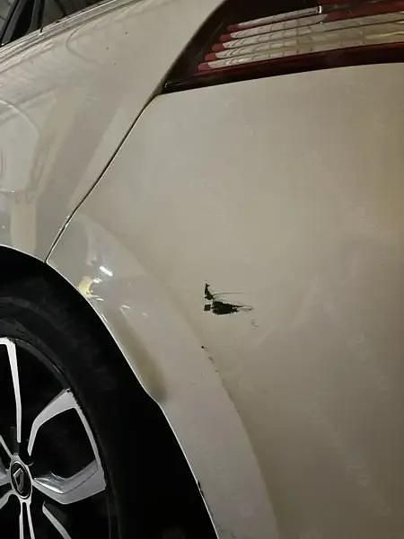 Second-hand Renault Clio IV Intens 120 CP (88 kW) 2018 Alb Break