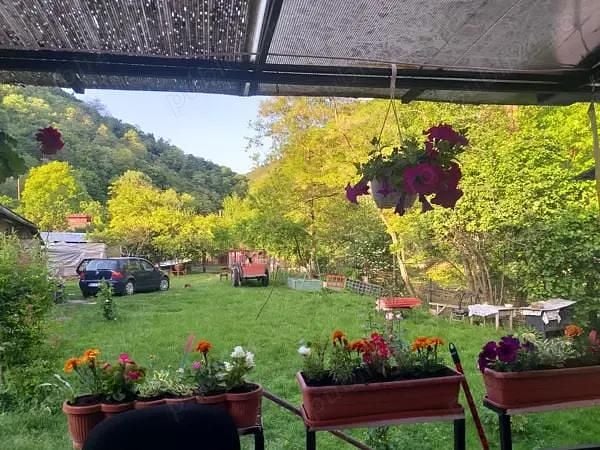 Utilizat 2002 VW Golf IV Berlinǎ | 500 EUR (Preț bun) - Imagine 1/3