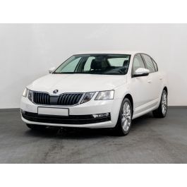 Albnormal Utilizat 2016 Skoda Octavia Ambition Berlinǎ | 13.450 EUR (Puțin scump) - Imagine 1/1