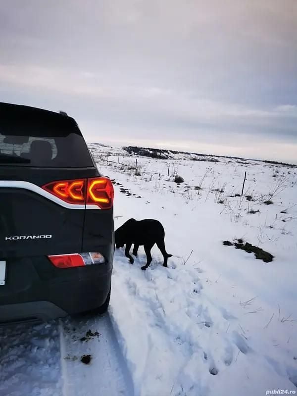 Negru Utilizat 2022 Ssangyong (KGM) Korando Monovolum | 18.800 EUR (Preț OK) - Imagine 1/4