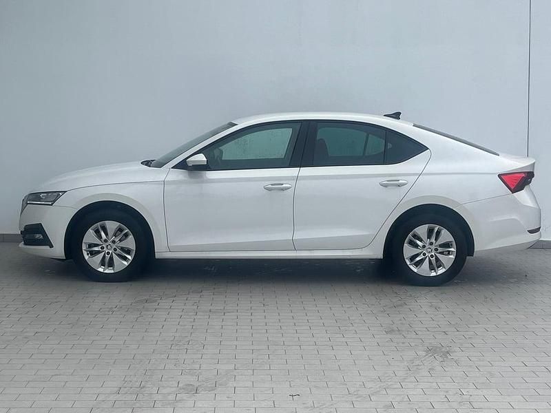 Second-hand Skoda Octavia Ambition 115 CP (84 kW) 2022 Albnormal