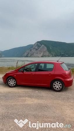 Second-hand Peugeot 307 110 CP (80 kW) 2005 Hatchback