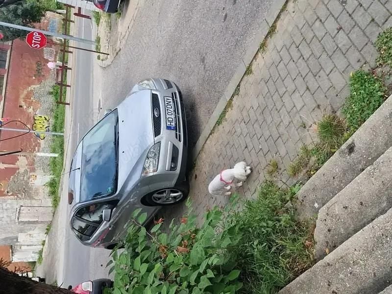 Utilizat 2008 Ford Focus SE Hatchback | 2.500 EUR (Preț OK) - Imagine 1/3