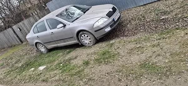 Second-hand Skoda Octavia 147 CP (108 kW) 2007 Berlinǎ