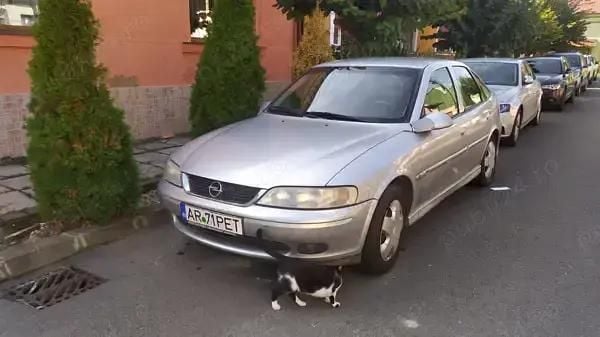 Utilizat 2001 Opel Vectra Hatchback | 950 EUR (Preț bun) - Imagine 1/4