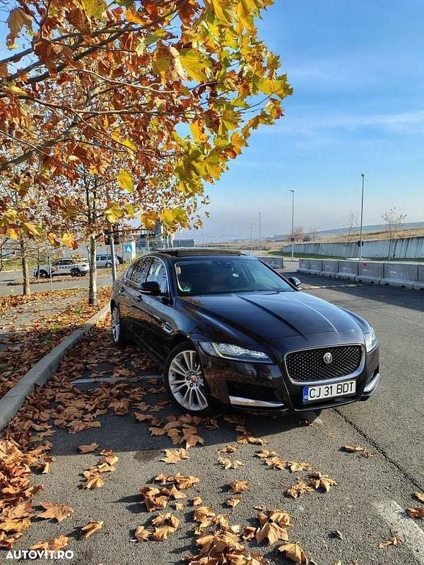 Culoarenegru Utilizat 2017 Jaguar XF Portfolio Berlinǎ | 14.499 EUR (Preț OK) - Imagine 1/4