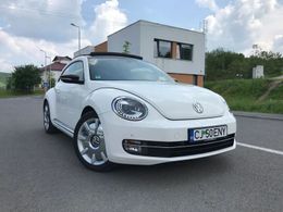 VW Beetle