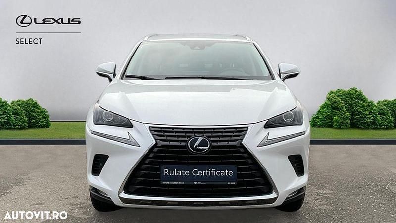 Second-hand Lexus NX300h E-FOUR Executive Line 197 CP (144 kW) 2020 Culoarealb SUV