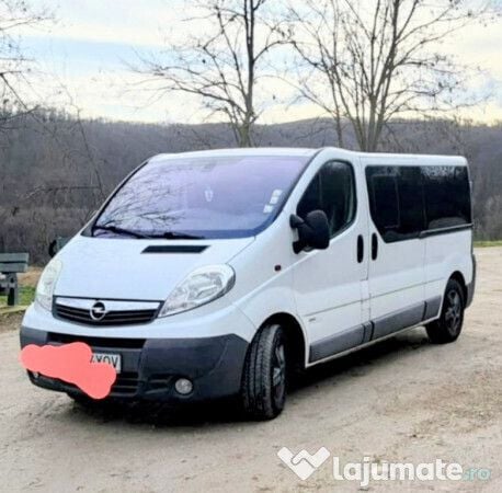 Alb Utilizat 2014 Opel Vivaro Van | 12.995 EUR - Imagine 1/4
