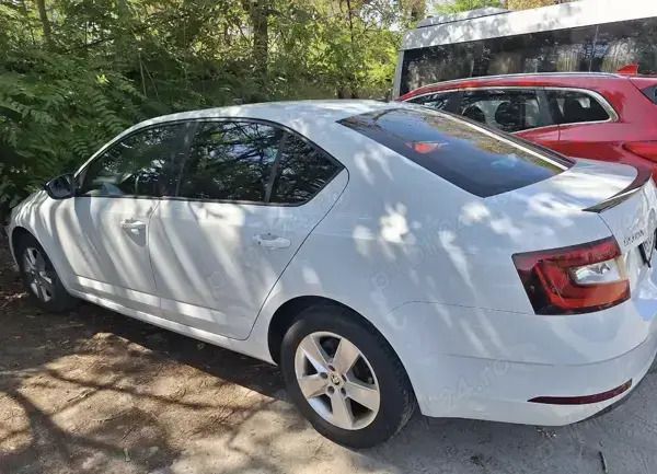 Utilizat 2019 Skoda Octavia Berlinǎ | 13.350 EUR (Preț bun) - Imagine 1/4