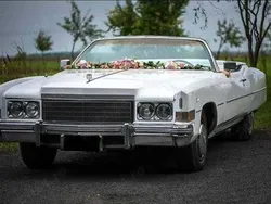 Utilizat 1974 Cadillac Eldorado Coupe | 19.900 EUR
