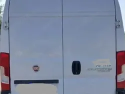 Alb Utilizat 2014 Fiat Ducato Van | 12.000 EUR (Super Preț)