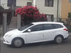 Alb Utilizat 2013 Ford Focus Break | 3.900 EUR (Preț bun)