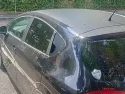Utilizat 2011 Seat Leon Coupe | 3.700 EUR (Puțin scump)