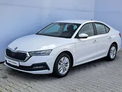 Albnormal Utilizat 2020 Skoda Octavia Ambition | 15.900 EUR (Preț bun)