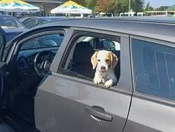 Utilizat 2012 Opel Astra Sport Break | 4.000 EUR (Preț OK)