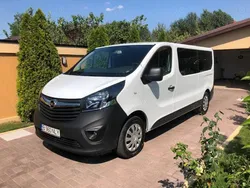Alb Utilizat 2019 Opel Vivaro Van | 14.499 EUR (Scump)