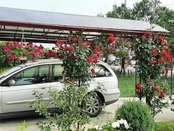 Utilizat 2004 Citroën C5 Break | 1.000 EUR